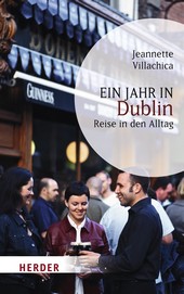 Ein Jahr in Dublin. Reise in den Alltag 